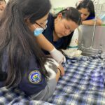 26-04-2023 PPP atenciones veterinarias en hospital Latacunga